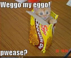 LOL CAT 2