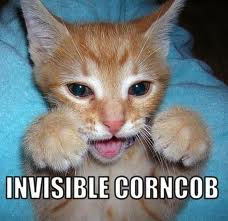 loL CAT 1