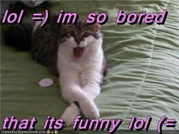 LOL CAT 5