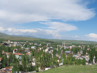 Yıldızeli