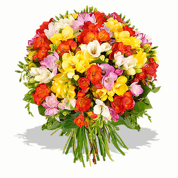 Freesias bouquet