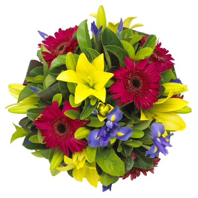 Vibrant delight flowers