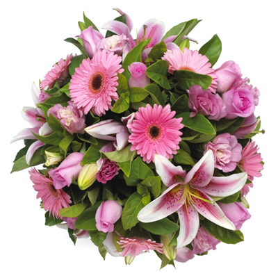 Blush flowers