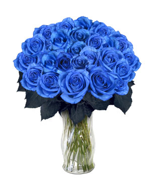 Blue Roses