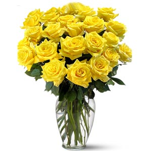Yellow Rose