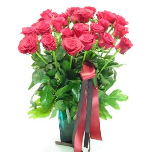 Pink Roses