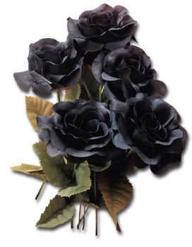 Black Roses