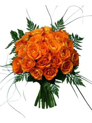 Orange or Coral Roses
