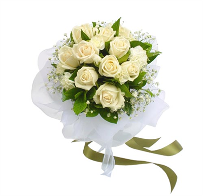 White Rose