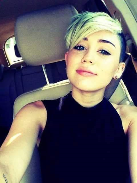 Smiler Testi