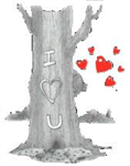 Love Pics 