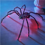 Halloween Gifts