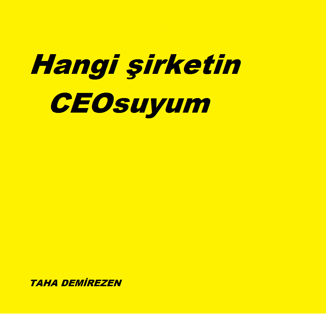 Hangi Şirketin Ceosuyum