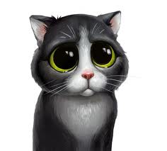 My kitty