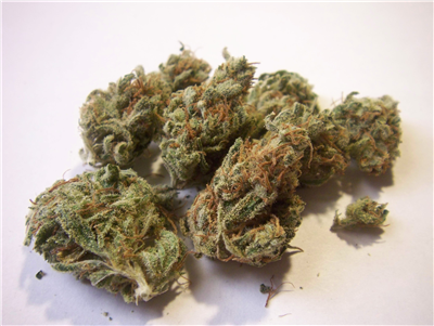1g of White Widow