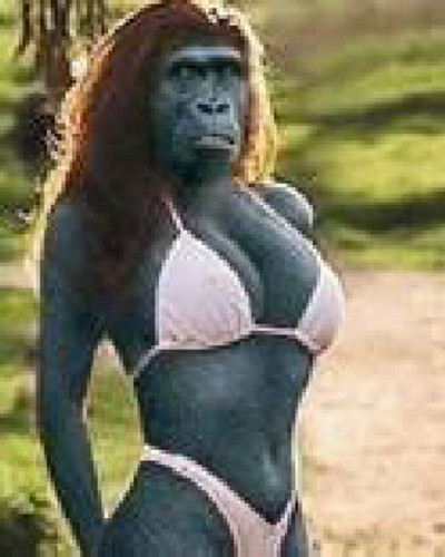 Que Animal Eres?