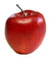 Fruit