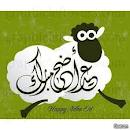 خروف العيد 10