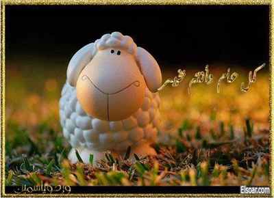 خروف العيد2