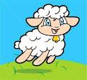 خروف العيد 15