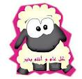خروف العيد 6