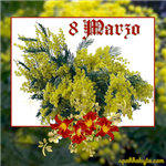 Mimose
