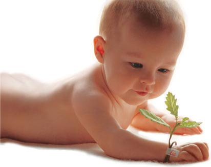 ¿Que Sera Tu Bebe?