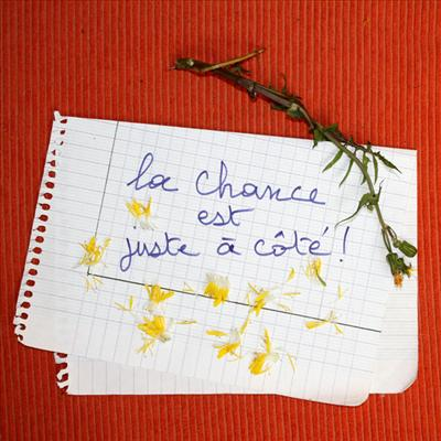 Chanceux Ou Pas ... ?