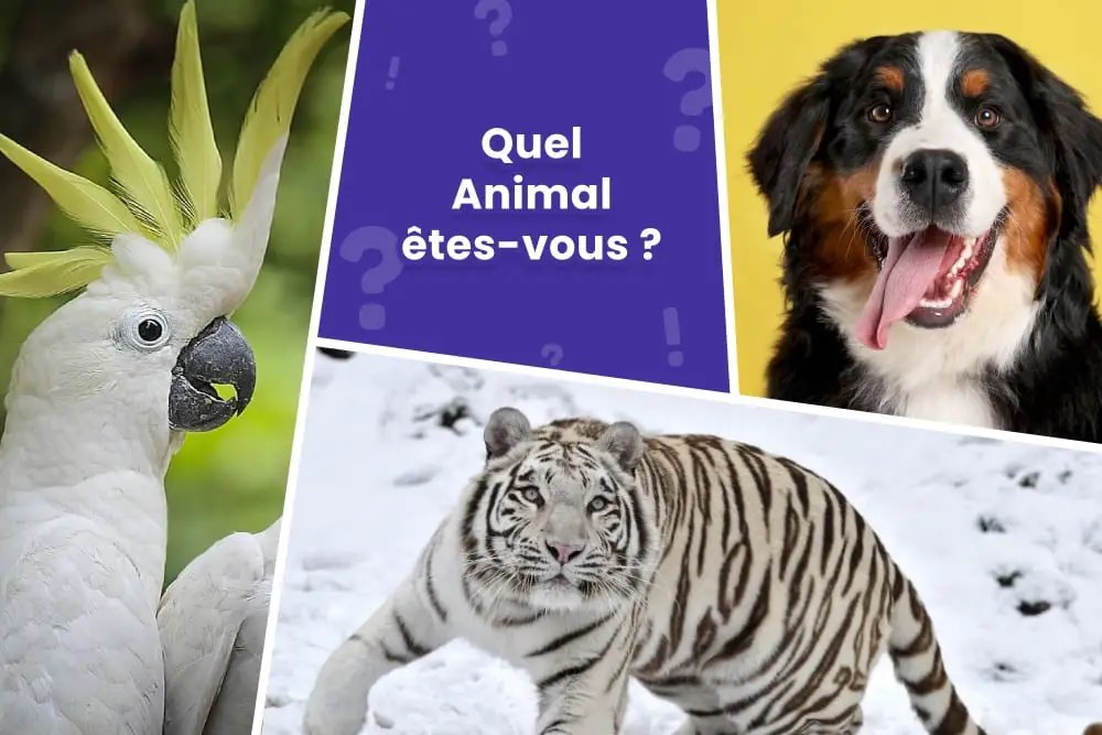 Quelle Animal Es-Tu