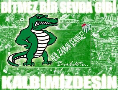 Beşiktaşmı Bursamı?