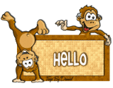 hellooooooooo