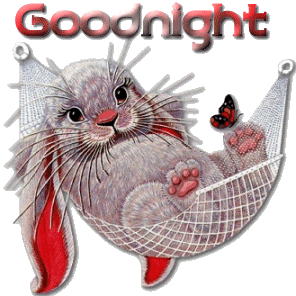 good night