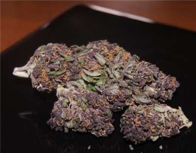 Bag of Purple Haze