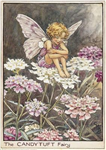 The Flower Fairies Of Cicely Mary Barker