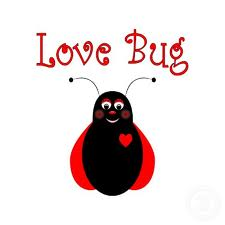 Love Bug