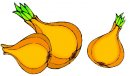 Fruit Gift