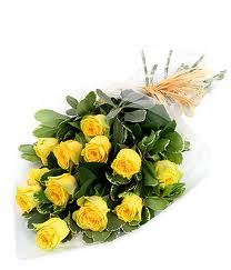 yellow rose