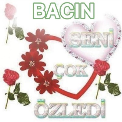 Moser'i sence tanıyor musun 