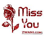 Missing Gift