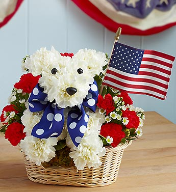 Patriot
