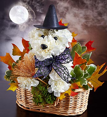 Witchy Poo