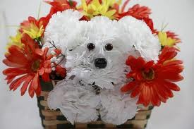 aDOGable Basket