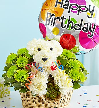 aDOGable Happy Birthday