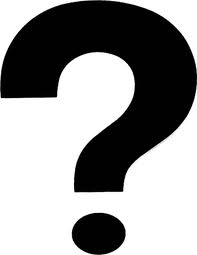 Le Quiz Du Jour