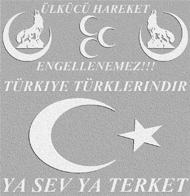 bozkurt 