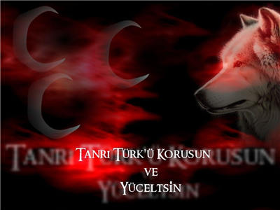 bozkurt 