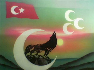 bozkurt 