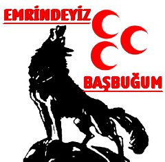 bozkurt 