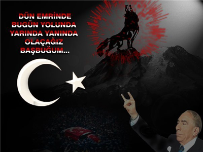 bozkurt 
