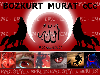 bozkurt 